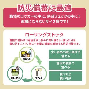 かにビス 保存缶 12缶セット 三立製菓 サン...の詳細画像4