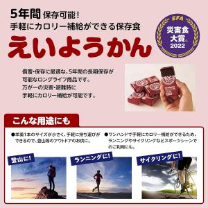 えいようかん 井村屋 防災 チョコえいようかん...の詳細画像5