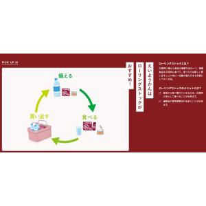 えいようかん 栄養かん 井村屋 羊羹 非常食 ...の詳細画像2