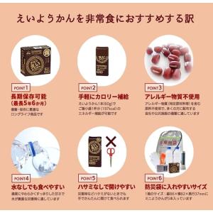 えいようかん 栄養かん 井村屋 羊羹 非常食 ...の詳細画像3