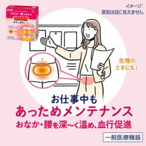 めぐりズム 蒸気でホットアイマスク 温熱シート...の詳細画像5