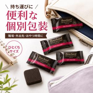 ブシャール ダークチョコレート カカオ 72%...の詳細画像4