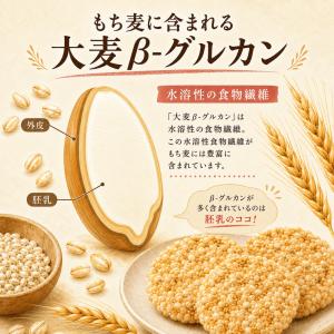 天乃屋 もち麦おせんべい 84枚 お菓子 おや...の詳細画像1