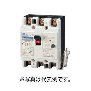 ★特価★新品未使用！5台セット【河村電器産業】屋内用手元開閉器漏電ブレーカー 河村電器 enステーション分電盤用 漏電ブレーカ(単3中性線欠相保護付