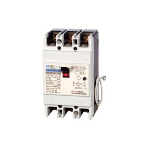 テンパール スタンダード住宅用分電盤 パールテクト(扉付)主幹50A 分岐