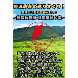 玄米 10kg 送料無料 お米 コシヒカリ こ...の詳細画像2