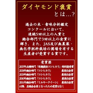 玄米 10kg 送料無料 お米 コシヒカリ こ...の詳細画像4
