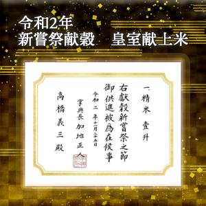 玄米 10kg 送料無料 お米 コシヒカリ こ...の詳細画像5