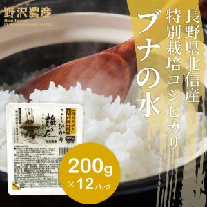 パックご飯 200g × 12パック 賞味期限2024年11月 送料無料 米 お米 コシヒカリ こしひかり 特別栽培米 野沢農産 長野県産 北信産 白米 ブナの水