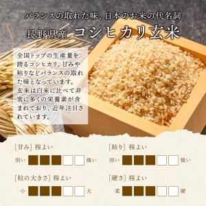 爆買 玄米 コシヒカリ 10kg 長野県産 令...の詳細画像1