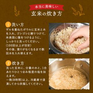 玄米 コシヒカリ 5kg お米 長野県産 令和...の詳細画像4