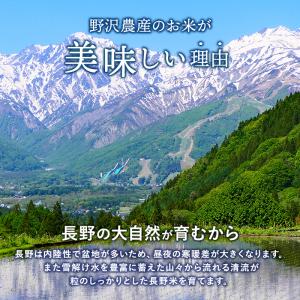 玄米 コシヒカリ 5kg お米 長野県産 令和...の詳細画像5