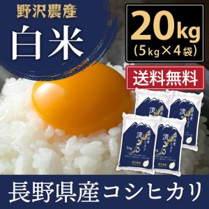 野沢農産 令和6年産 無洗米 20kg 送料無料 米 お米 コシヒカリ  