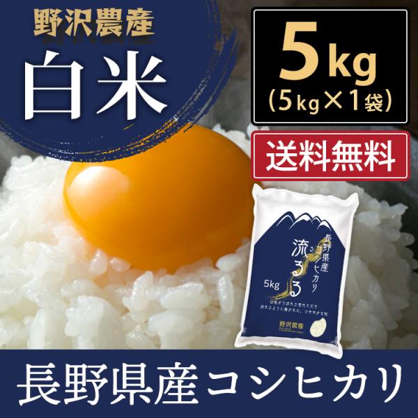 令和5年産 米5kg お米 送料無料 コシヒカリ こしひかり 流るる 野沢農産 長野県産　精米 白米