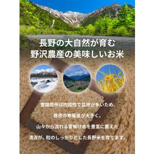 無洗米 5kg にじのきらめき 長野県産 野沢...の詳細画像3
