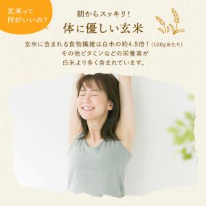 玄米 無洗米 10kg 長期保存 新鮮密封パッ...の詳細画像5