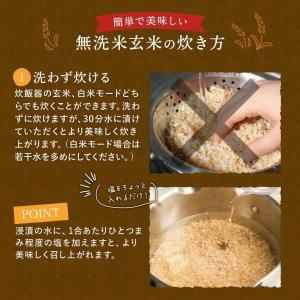 玄米 無洗米 10kg 長期保存 新鮮密封パッ...の詳細画像1