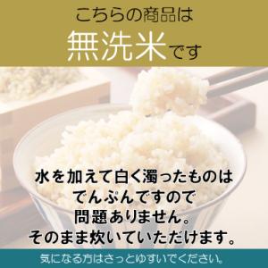 玄米 20kg らくらく無洗米玄米 送料無料 ...の詳細画像2