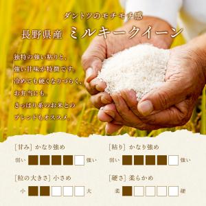 無洗米 10kg (5kg×2袋) 送料無料 ...の詳細画像2