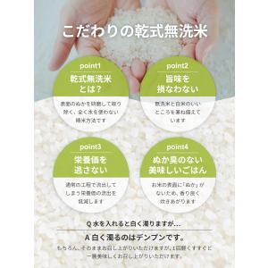 無洗米 10kg (5kg×2袋) 送料無料 ...の詳細画像1