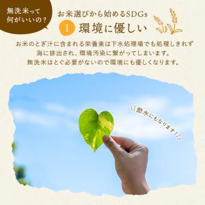 無洗米 10kg (5kg×2袋) 送料無料 ...の詳細画像3