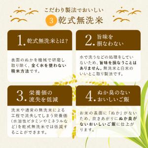 無洗米 10kg (5kg×2袋) 送料無料 ...の詳細画像5