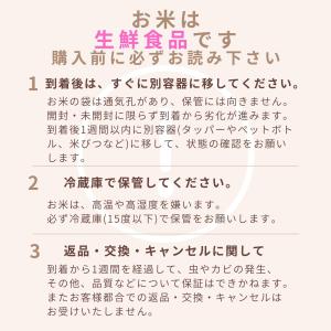 無洗米 送料無料 20kg お米 コシヒカリ ...の詳細画像4
