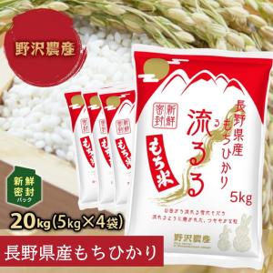 野沢農産 もち米 精米 新鮮密封 新米 令和7年産 長野県産 もちひかり