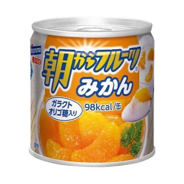 はごろもフーズ 朝からフルーツ みかん 190g缶×24個入×(2ケース)｜ 送料無料