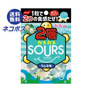 【全国送料無料】【ネコポス】ノーベル製菓 2層カメカメサワーズ（SOURS）ラムネ 45g×6個入｜nozomi-market