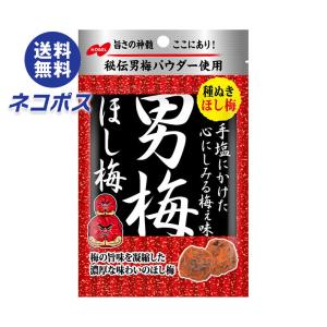 NOBEL ノーベル 20g 男梅ほし梅 (6×2)12袋入 (最短当日出荷)(熱中症
