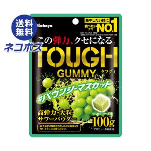 カバヤ食品　タフグミ　60袋　エナジー　レモンラッシュ　グレーピーパンチ カバヤ食品 タフグミ 60袋 エナジー レモンラッシュ グレーピーパンチ