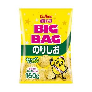 うす塩 ＼爆買／カルビー 堅あげポテト BIG うすしお味 132g×12袋入