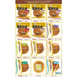 ヤマザキ 山崎製パン 10種詰め合わせセット 10個入×(2ケース)｜ 送料