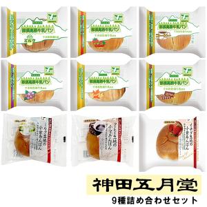SARAYA（サラヤ） ラカントS 顆粒 580g×6袋入｜ 送料無料 : のぞみ