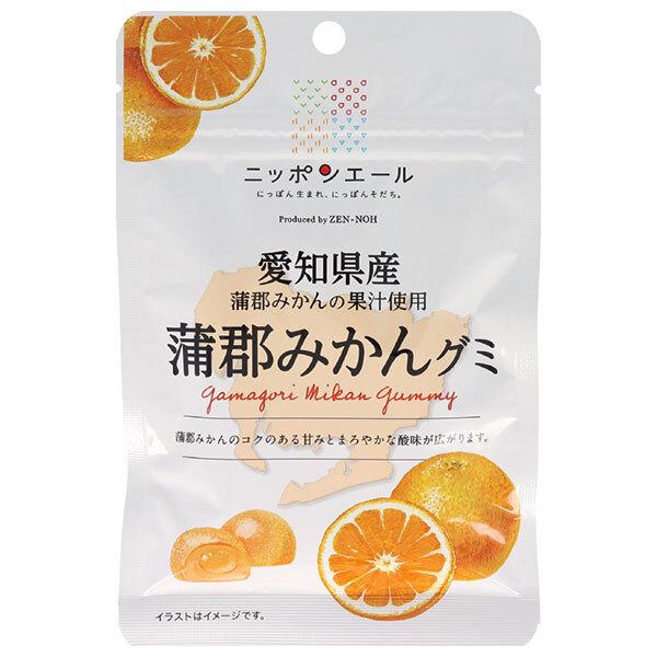 JA全農 ニッポンエール 愛知県産蒲郡みかん グミ 40g×10袋入×(2ケース)｜ 送料無料