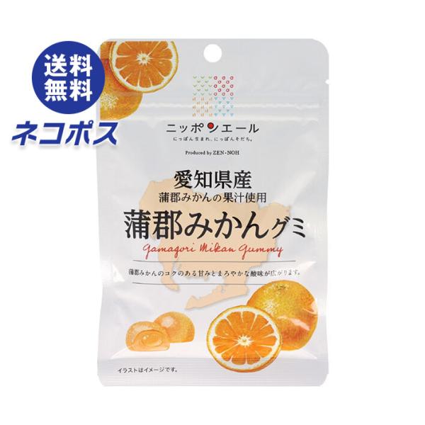 ネコポス JA全農 ニッポンエール 愛知県産蒲郡みかん グミ 40g×10袋入｜ 全国送料無料