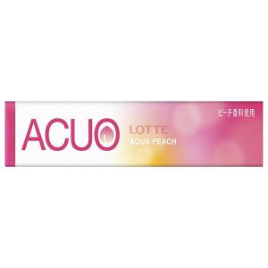 ロッテ（LOTTE） キシリトールガム +フッ素 ペパーミント 14粒×20個入