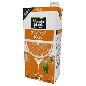 Minute Maid コカ・コーラ ミニッツメイド アップル 100% 1L紙パック×6