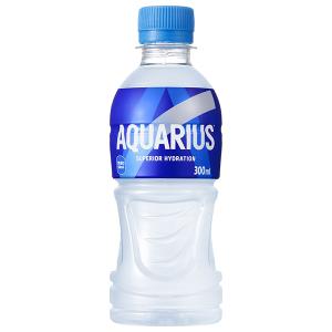 コカコーラ アクエリアス 300mlペットボトル×24本入×(2ケース)｜ 送料無料