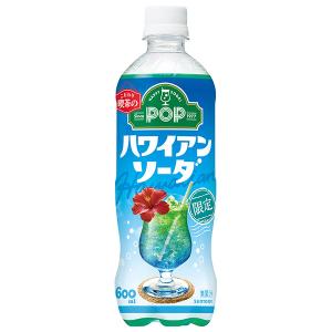 ご当地サイダー 指宿温泉サイダー 330ml 瓶「24本入り」鹿児島 お土産