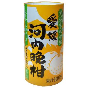 愛工房 愛媛 ぽんかん 125ml カート缶 30本入 100％ ストレート果汁