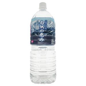 中村商店 キャプテン グレープフルーツ 600ml瓶×12本入｜ 送料無料