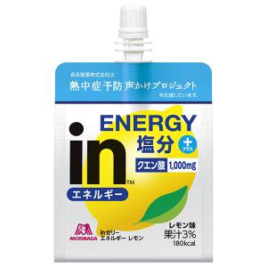 ウイダー ＼爆買／【賞味期限2026.05】森永製菓 inゼリー エネルギー