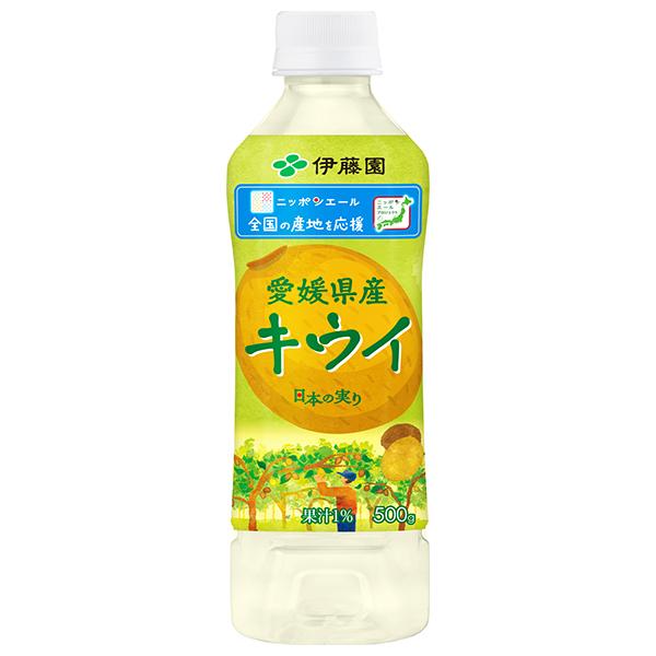 伊藤園 ニッポンエール 愛媛県産キウイ 500mlペットボトル×24本入×(2ケース)｜ 送料無料