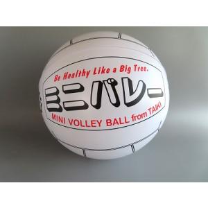 ミニバレーボール（12個入）　35cm　ビニール　北海道