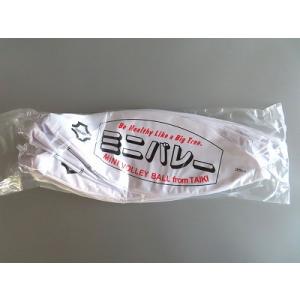 ミニバレーボール(12個入) 35cm ビニー...の詳細画像5