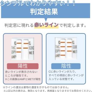 【田代まさしさん愛用中】5種類検出 薬物検査キ...の詳細画像4