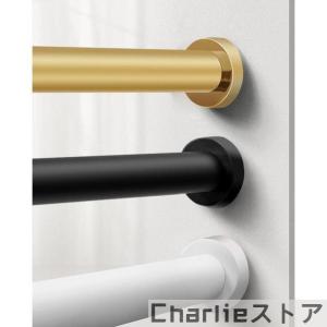 新発売！突っ張り棒 強力 カーテン おしゃれ つっぱり棒 アイアン 伸縮 棚 DIY アンティーク S 77-120cm クラシカ｜NRDストア