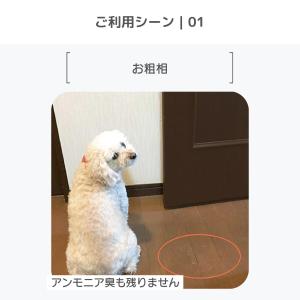 ペレッティー 消臭スプレー ペット用 1L 詰...の詳細画像2